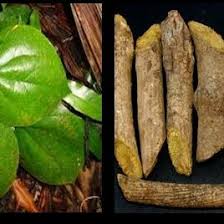 Image result for Albertisia exelliana