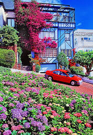 Flowers On Lombard Street San Francisco Bt Mitchell Funk Mitchellfunk Com