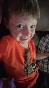 Sorry these are blurry. Two baby box turtles eating baby dubia roaches.