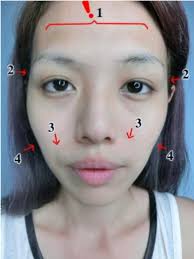 Entrepreneurial Selves, Feminine Corporeality and Lifestyle Blogging in  Singapore in: Asian Journal of Social Science Volume 45 Issue 4-5 (2017)