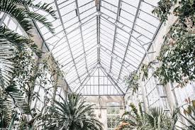 Lundis Invites 6 Le Jardin Botanique D Amsterdam Par Camille De Days Of Camille Amsterdam Hotel Amsterdam Photography Amsterdam Travel