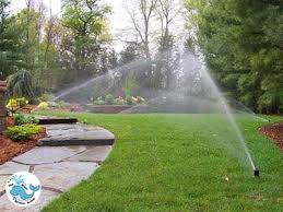 Blue Whale Sprinkler Service