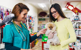 Pet stores have been opened up all over the world so as to supply the necessary pet products required in order to enable the owners to take better care of them. Where To Find Pet Adoption Centres In Dubai Mybayut