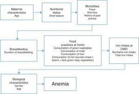 Prevalence And Risk Factors Of Anemia In Children Jornal