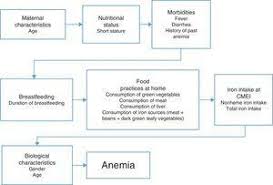 prevalence and risk factors of anemia in children jornal