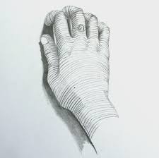 Image Result For Contour Line Optical Illusion Contour Drawing Contour Line Drawing Sketchbook Assignments