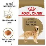 Golden Retriever Puppy Dry Dog Food - Royal Canin