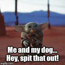 The Child Might Love It As Much As My Dog R Yiddle Baby Yoda Grogu Yoda Meme Yoda Me And My Dog