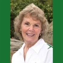 Patty Rae Ottley Obituary (2023)