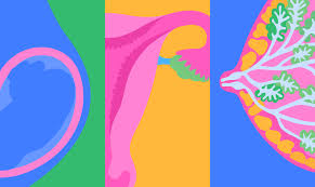 Această echipă include medici supraspecializați în subspecialitățile obstetricii și a. Medici Ginecologi Si Obstetricieni Buni Bucuresti Nativia Ro