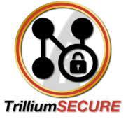 Apa itu server & database. Solutions Trillium Secure Inc
