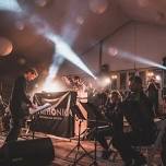 Artful Dodger at Singleton Park