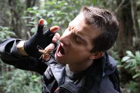 ❄️bear grylls is joined by the one and. Man Vs Novel Bear Grylls Big Book Deal Los Angeles Times