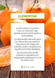 Bienfaits Fruits Et Legumes La Clementine Bienfaits Alimentation Saine Et Alimentation Saine Et Equilibree Aliments Bons Pour La Sante Alimentation Saine