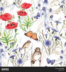 We did not find results for: Hand Drawn Watercolor Image Photo Free Trial Bigstock
