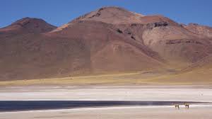 Tour de 5 dias / 4 noches. Why You Ll Love San Pedro De Atacama Intrepid Travel Blog The Journal