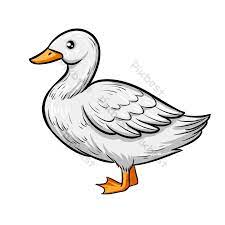 Large collections of hd transparent duck png images for free download. Drawing Cartoon Gray Duck Illustration Png Images Psd Free Download Pikbest