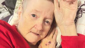 Fundraiser by Jessica Ware : Bring Diane Home to Lincoln