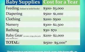 How Much Does It Cost To Have A Baby Baby Cost Baby Supplies Baby Shower Food