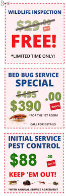 Viking pest provides pest control and prevention services across new jersey. About Us Action Termite And Pest Control Nj