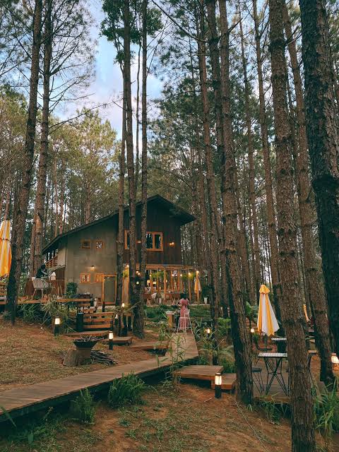 Hẹn hò ở nhà hàng Mơ Bistro Đà Lạt giữa rừng thông view đẹp lãng mạn - iVIVU.com