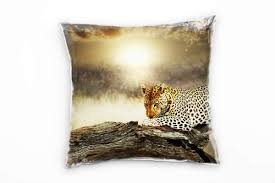 Demonstrated here by louise appleby. Tiere Braun Gelb Leopard Afrika Nahaufnahme Deko Kissen 40x40cm Fur Couch Sofa Lounge Zierkissen Sinus Art Einzigartige Designs Geschenke Wandbilder Wohnaccessoires Zu Fairen Preisen