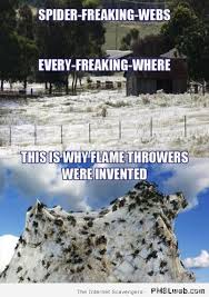 39 Spider Webs Everywhere Meme Pmslweb