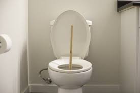 How To Clear A Sewer Without A Snake Hunker In 2020 Clogged Toilet Shower Drain Septic System