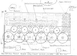 Orchard Layout Plan Design Permaculture Garden Orchard Orchard Design Permaculture Design Permaculture