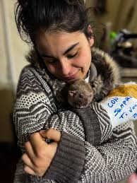 My beautiful Blue. Just weeks before she got ill. This was her alll of her  life with me. 1 and a half years of her being my Angel. She lifted me up