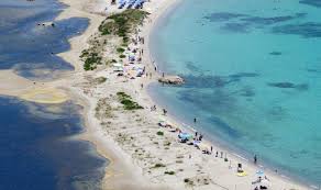 Och sök i istocks bibliotek efter fler royaltyfria videor med bland annat. Cala Brandinchi Sardegnaturismo Sito Ufficiale Del Turismo Della Regione Sardegna