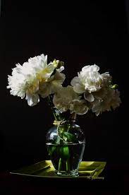 The flower pot is made of ceramic, simple but beautiful Peony Still Life Photography Sunlight Photography Flower Vases Still Life Photography