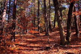 There are plenty of quality hikes near boston that are easy to get to. How To Celebrate Thanksgiving Weekend Outdoors