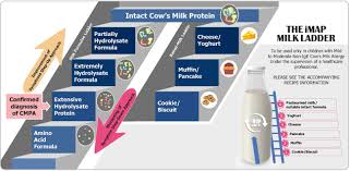 Hydrolysed (partially and extensively) infant formula is not recommended for the prevention of allergies. Frontiers Strategies And Future Opportunities For The Prevention Diagnosis And Management Of Cow Milk Allergy Immunology