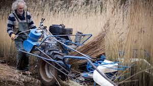 Thatched roofs are made from grasses, reeds, and other natural materials. How To Harvest Water Reed For Thatching Youtube