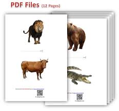 Animal Life 4d Flashcards Augmented Reality Animals Available For Android And Ios Okok Games In 2021 Animal Flashcards Animals Flashcards