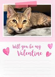 CatNap from the Heart