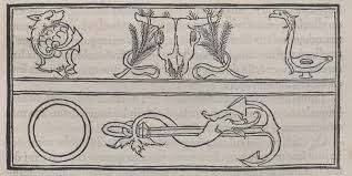 Image result for Pentarhopalopilia