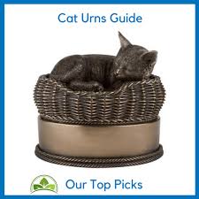 How much to cremate a cat melbourne. 12 Things You Need To Know About The Cat Cremation Process