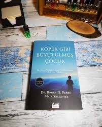 Kopek Gibi Buyutulmus Cocuk Guncellenen Yeni Baski Bruce D Perry Maia Szalavitz Kitap Kitantik 250190800114