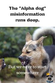 My dog won t listen to me. Help My Dog Won T Listen To Me Dog Training The Best Way We Know How Alpha Dog Training Dog Training Methods Dog Training