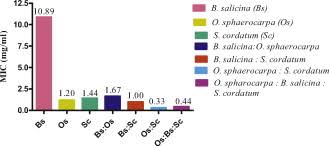 Image result for Ozoroa nitida