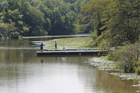 Fishing On Swift Creek Lake At Pocahontas State Park In Virginia State Parks Park Science And Nature