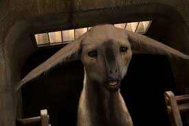 Star Wars What Are Those Last Jedi Creatures Meet The Porgs Fathiers And Vulptex Star Wars Villains Star Wars Horse Star