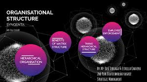 Syngenta Organisational Structure By Estrella Chavero On