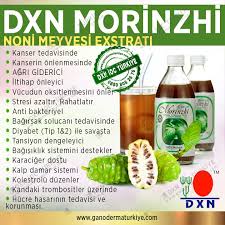 Dxn Turkiye Lider Mine Ismailoglu 0850 808 26 76 Www Ganodermaturkiye Com Www Mineismailoglu Dxn Com Tr Spiriluna Dx Tirtil Mantari Saglikli Saglikli Olmak