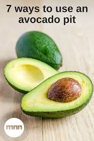 9 Ways To Use An Avocado Pit Avocado Avocados Skin Carbohydrate Diet