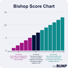 Image result for Bishop Score