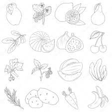Illustrazione Frutta E Verdura Da Disegnare Libro Da Colorare