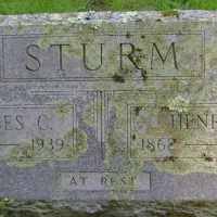 Henry Jackson Sturm (1862–1943)